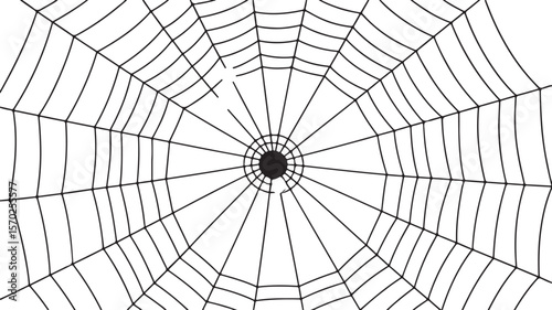 Spider Web with Concentric Circles