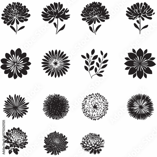 Aster Flower SVG