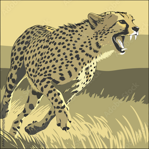cheetah on a branch