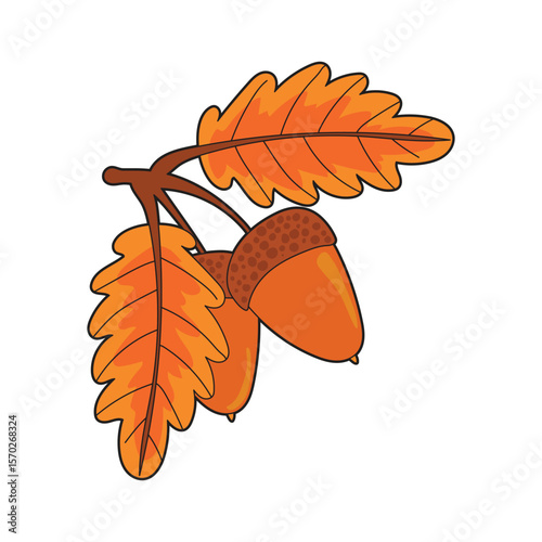 Hand drawn oak acorn with bright orange autumn leaves in cute seasonal style, great for thanksgiving, fall harvest, botanical prints, nature decorations, and design projects.