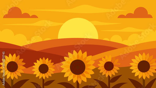 Sunset over a bright summer sunflower field vector illustration with blooming yellow floral patterns
