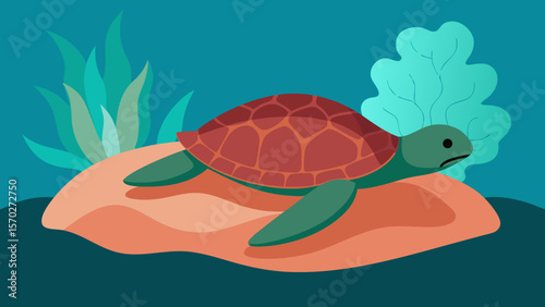 sea turtle vector illustration
