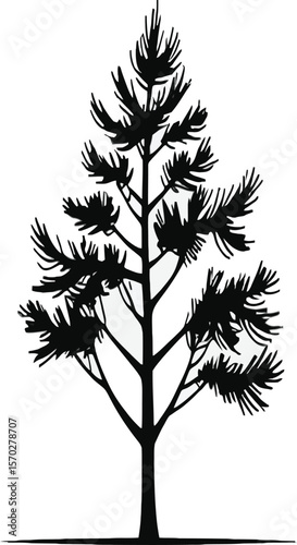 A minimalist tree silhouette stands boldly against a clean white backdrop, perfect for designs needing a touch of nature, forestry, or a simple, elegant evergreen forest element.