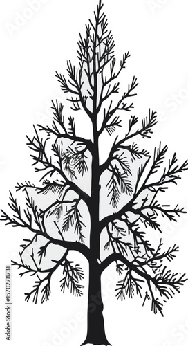 Striking graphic shows a bare tree in silhouette, its stark branches creating an eye-catching pattern against the neutral background, evocative of autumn or winter seasons with forestry.