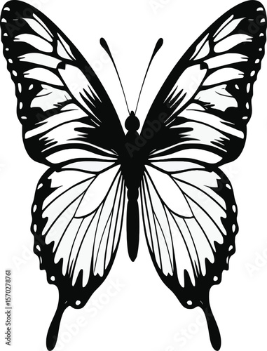 Striking butterfly silhouette creates an elegant, artistic design, with detailed wings offering a delicate touch, ideal for nature themes and creative designs, on a clean white background.