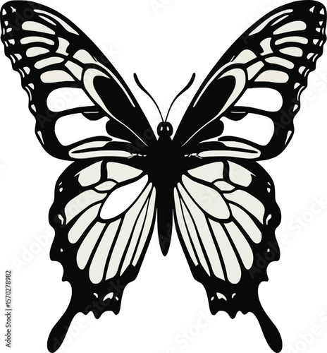 A detailed black and white butterfly graphic design showcases intricate wing patterns against a soft background, perfect for designs, illustrations, and nature-themed projects offering elegance and fi