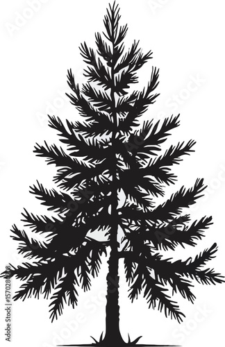"Vector Silhouette of Pine Tree on White Background – Evergreen Conifer Illustration for Nature and Seasonal Design