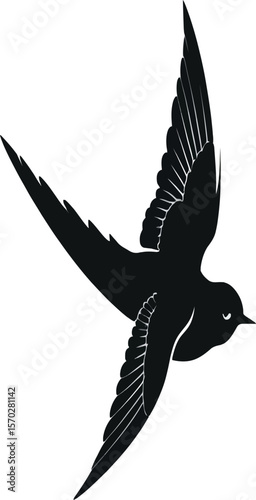 Vector Silhouette of Flying Bird with Outstretched Wings – Dynamic Wildlife Illustration on White Background