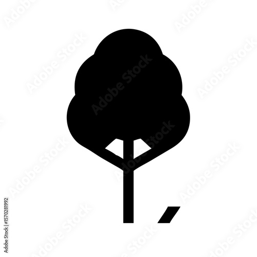 poplar tree icon