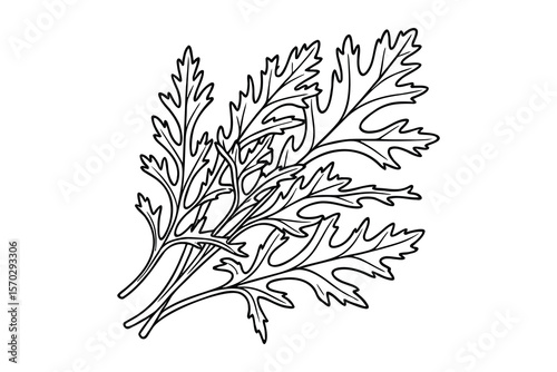 Outline Arugula Leaves Bunch, Line Art Style, Black and White Isolated Herbs, Culinary Ingredient, Simple Style Vector Illustration.