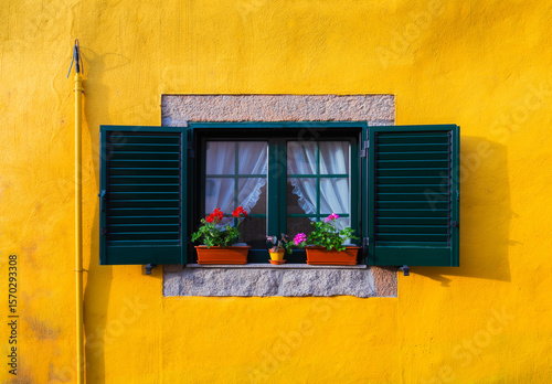 Foto Green shutters framing a window with flower pots and sheer curtains