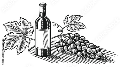 Vintage Wine Bottle and Grapes Engraving Illustration