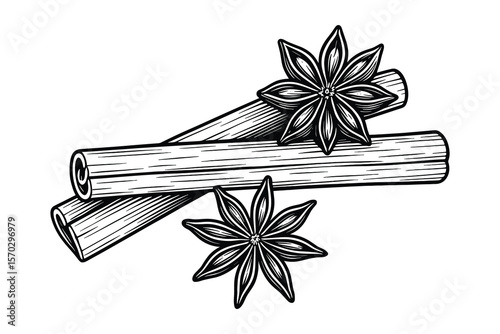 Cinnamon Sticks and Star Anise Detailed Line Art Illustration Vector