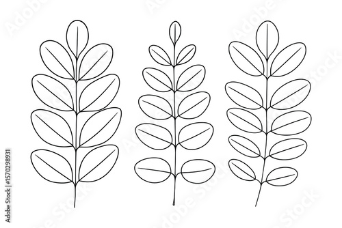 Collection of Botanical Leaves and Branches in Black and White Vector