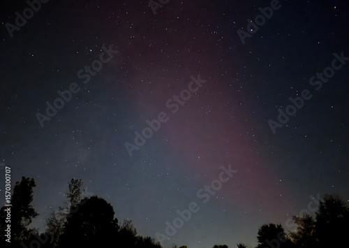 starry night sky