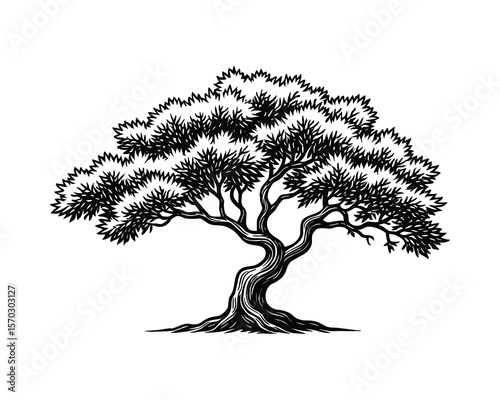 Detailed Engraving Tree Illustration Vector, Black Ink Drawing of a Forest Plant, Classic Botanical Artwork