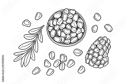 Hand-Drawn Gnocchi Arrangement with Rosemary on White Background