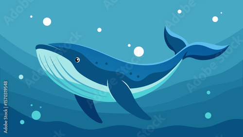 dolphin in the water