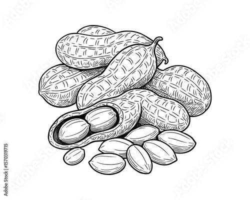 Pile of Peanuts in Shells and Shelled Peanuts Isolated on White Snack