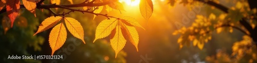 Sunlit aspen leaves shimmer, backlit by golden hour light , photography, glow, yellow