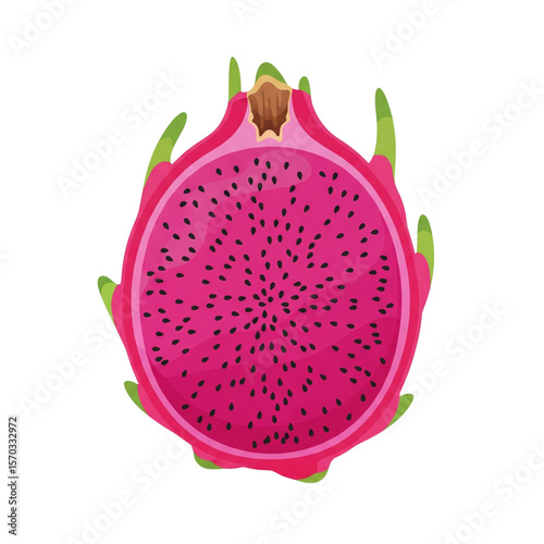 Dragon Fruit Vector, Sliced Pitaya Illustration, Flat Design Exotic Fruit Icon