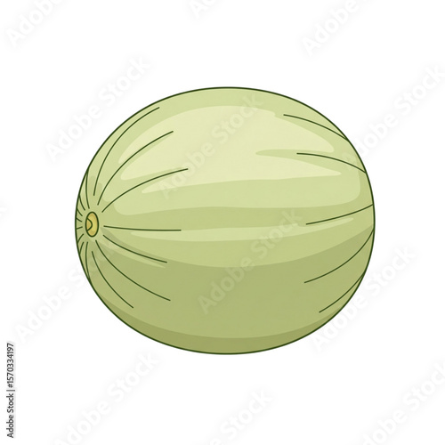 Honeydew Melon Vector, Whole Sweet Melon Illustration, Flat Design Fruit