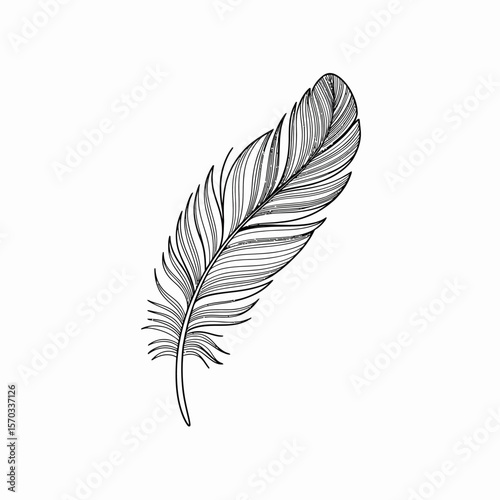 Elegant Feather Illustration: A detailed sketch of a solitary feather, capturing the gentle grace and intricate structure of this natural element. This monochrome rendering.