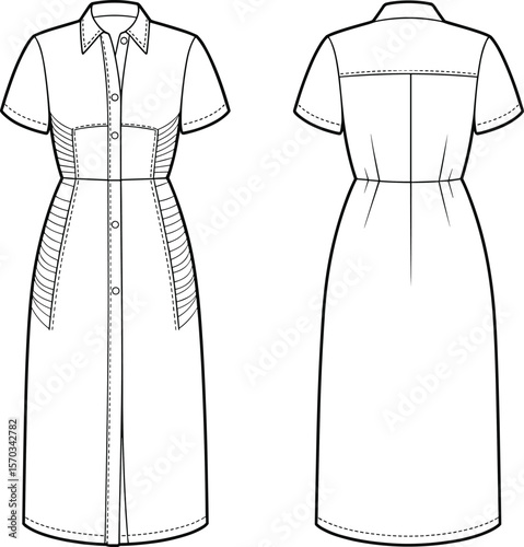 Button front short sleeve midi dress with collar and panel details, cad drawing flat vector illustration, technical fashion sketch