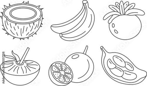 A line drawing of a coconut, bananas, mangosteen, tomato, orange, and jackfruit
