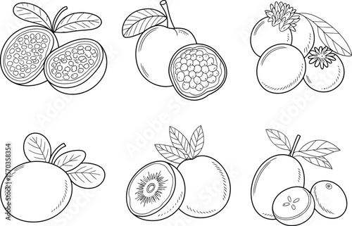 A monochrome line art illustration of various fruits with leaves on a white background