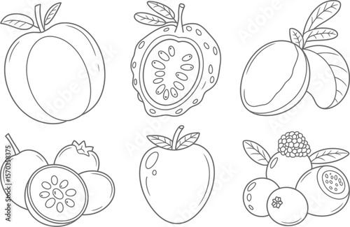 Outline drawing of various fruits including peach guava mango apple and blueberries