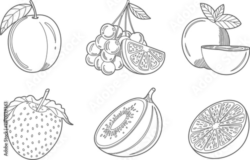 Black and white line art illustration of various fruits on a white background
