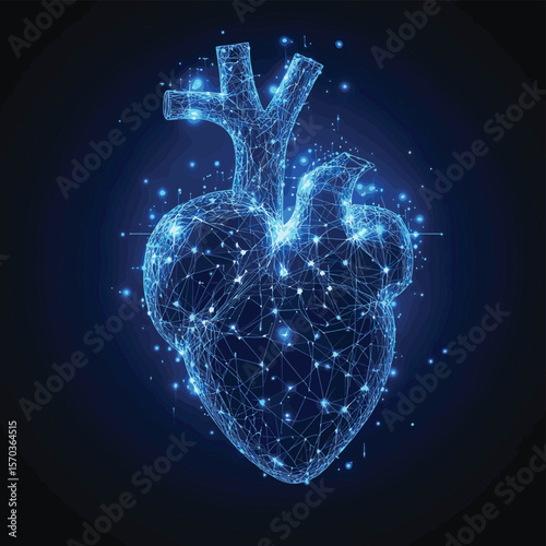 Human heart anatomy form lines and triangles, point connecting network on blue background. Illustration vector, vector style simple color