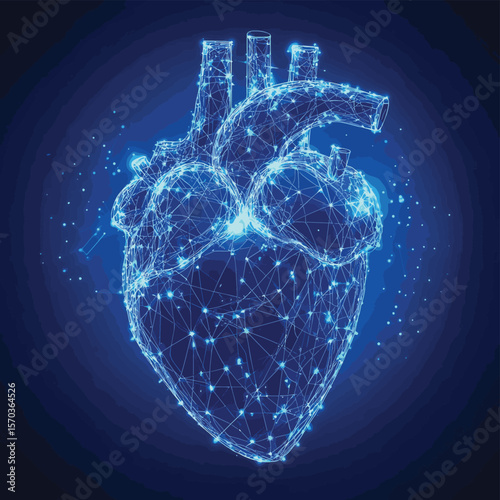 Human heart anatomy form lines and triangles, point connecting network on blue background. Illustration vector, vector style simple color