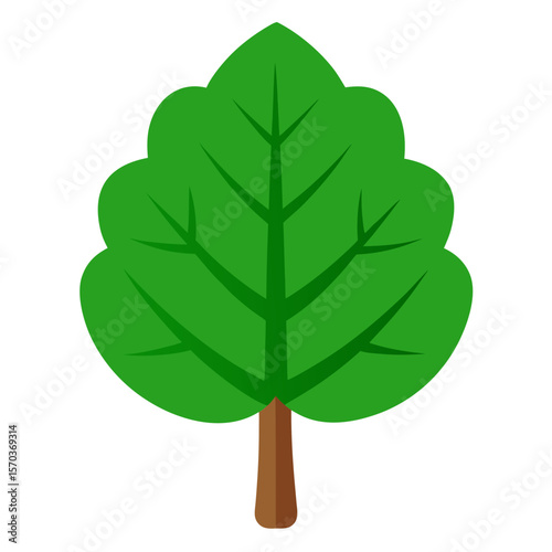 Macro Big Green Tree Leaf Vector Illustration Detailed Natural Leaf Designs for Creative Projects