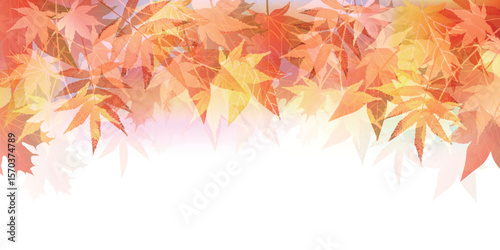 紅葉　もみじ　秋　背景	