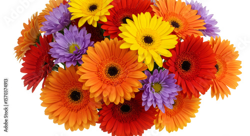 Transparent Background of Colorful Gerbera Flower Bouquet Floral Arrangement