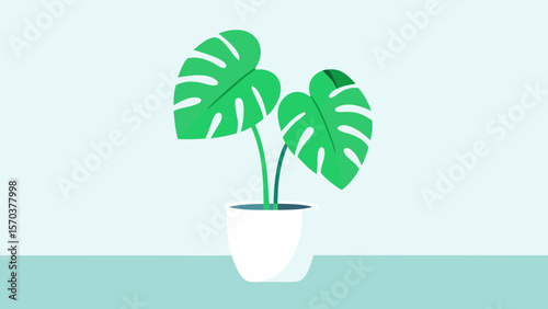 Vibrant green potted houseplant isolated on white, symbolizing growth and nature