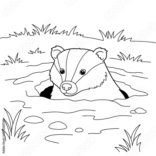 A striped badger peeks out from its burrow in a grassy patch, surrounded by rocks and dirt.
