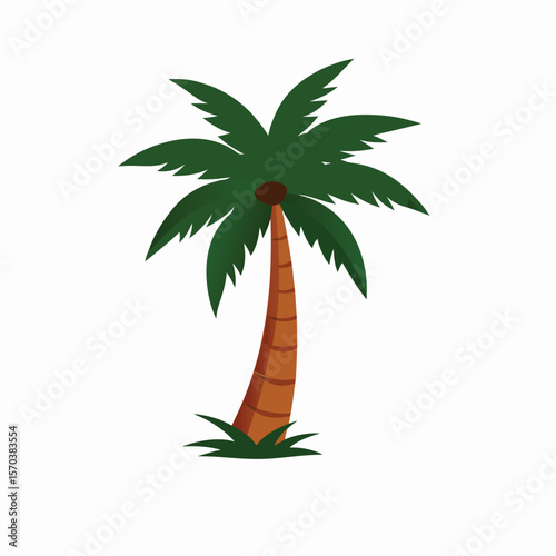 palm tree vector illustration