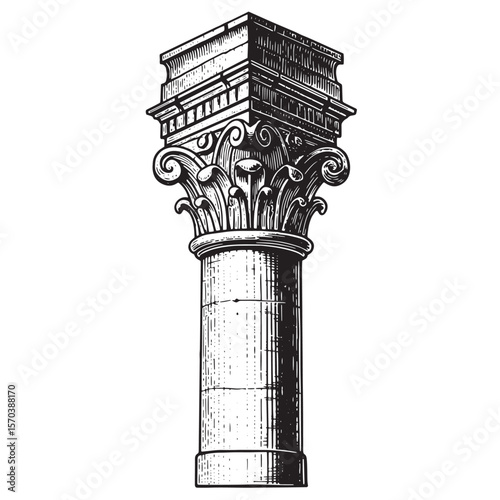 Elegant detailed engraved illustration of a classical corinthian column architectural design
