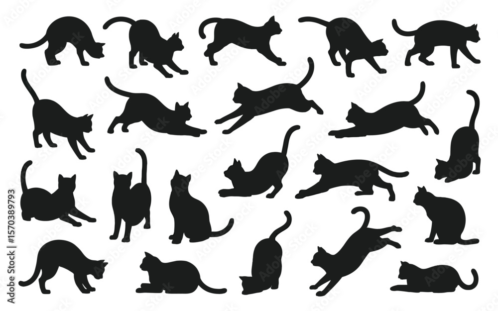 Fototapeta premium Feline figures graceful poses cats felines