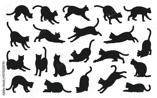 Feline figures graceful poses cats felines