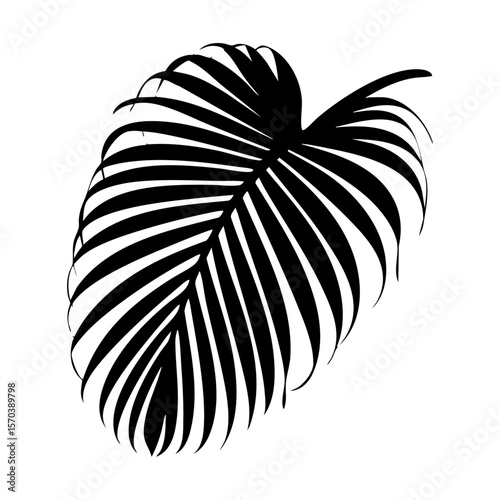 Palm Leaf Silhouette Vector Isolated Illustration
