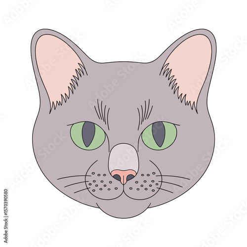 Grey cat face green eyes pink ears vector