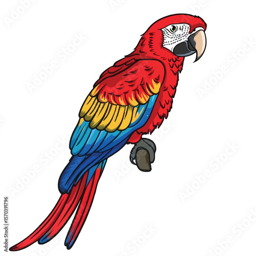 Vibrant Scarlet Macaw Illustration Detailed Wing and Tail Feathers