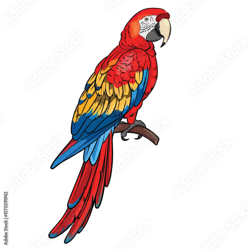 Vibrant Scarlet Macaw Perched on Branch