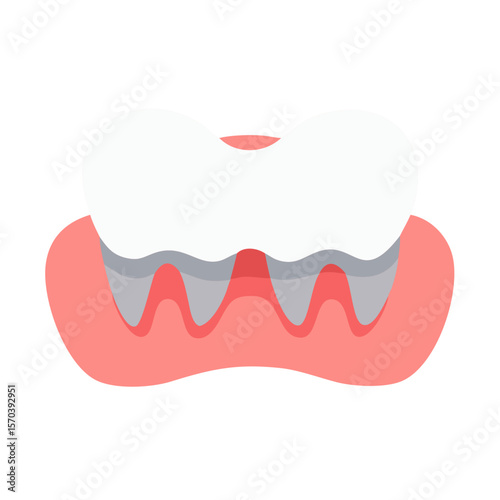 Stylized illustration of a molar in gums on White
