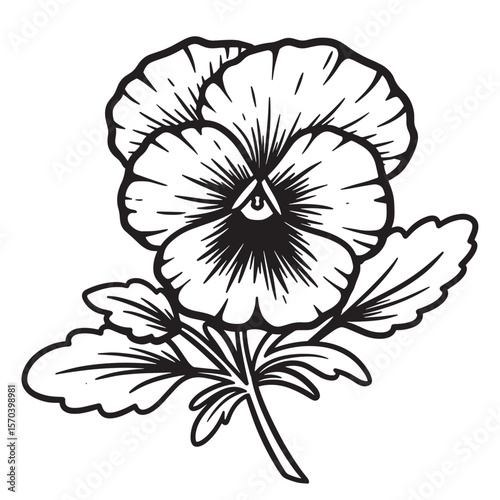 Simple black and white line art illustration of a delicate pansy flower