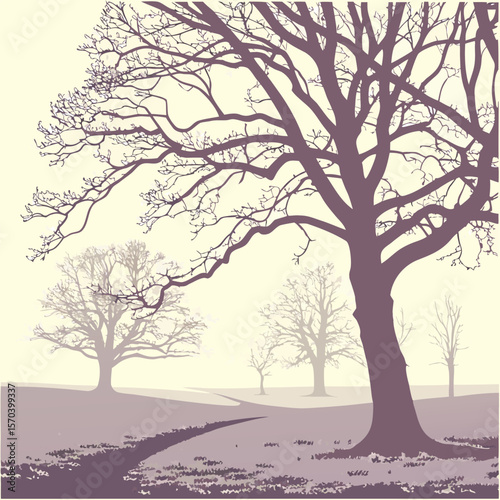 A solitary winding path leads through a serene landscape of bare winter trees under a pale sky evoking a sense of quiet solitude and natural beauty